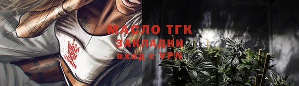 прущие грибы Заводоуковск