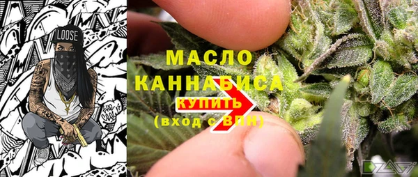 прущие грибы Заводоуковск