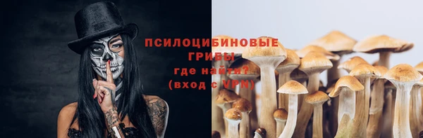 прущие грибы Заводоуковск