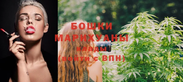скорость Ельня