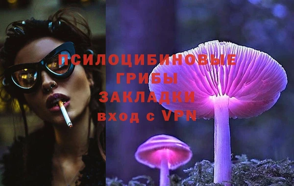 гашик Заволжск