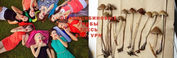 a pvp Елизово