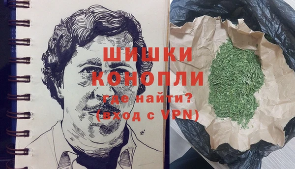 скорость Ельня