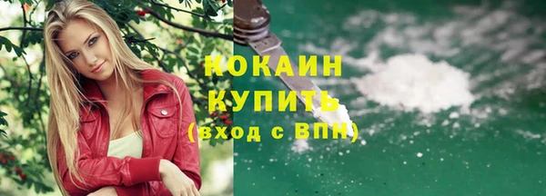 скорость Ельня
