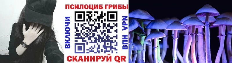 Псилоцибиновые грибы Cubensis  купить наркоту  дарк нет какой сайт  Салаир 